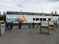 Domed train all aboard to Fairbanks AK.jpg 372.1K