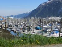 Harbour in Juneau AK.jpg 499.4K