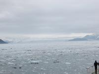 Hubbard Glacier Only growing Glacier in North America.jpg 312.6K