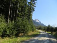 Icy Strait Point Hoonah Beautiful place.jpg 450.4K