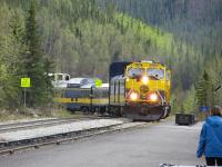 Train to Fairbanks.jpg 453.9K