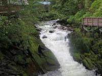 Waterfall in ketchican.jpg 458.7K